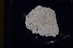 Cross Polarized, E19298