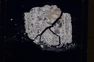 Cross Polarized, E19302