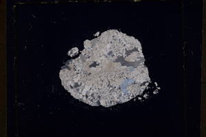 Cross Polarized, E19303