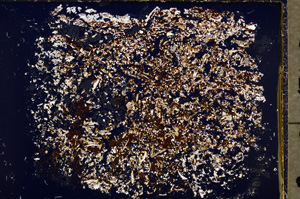 Cross Polarized, E19312