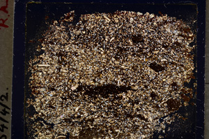 Cross Polarized, E19312/A