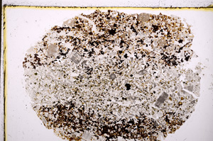 Plane Polarized, E19315