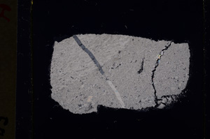 Cross Polarized, E19338