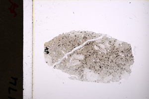 Plane Polarized, E19342