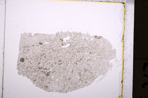 Plane Polarized, E19350