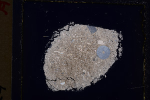 Cross Polarized, E19388