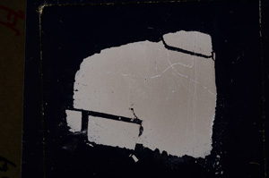 Cross Polarized, E19393
