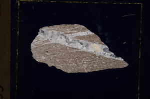 Cross Polarized, E19400