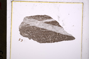 Plane Polarized, E19400