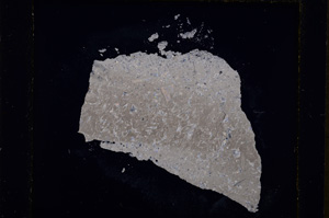 Cross Polarized, E19403