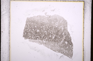 Plane Polarized, E19403