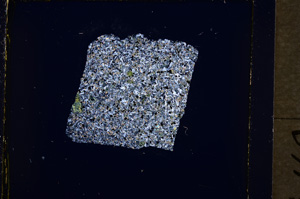 Cross Polarized, E19412