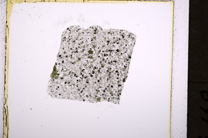 Plane Polarized, E19412