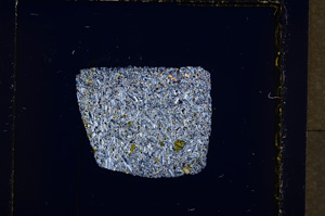 Cross Polarized, E19413