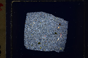 Cross Polarized, E19415