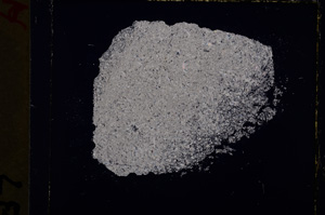 Cross Polarized, E19423