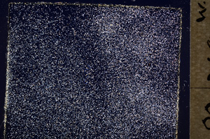 Cross Polarized, E19434