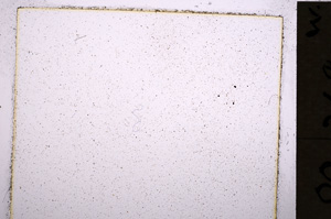 Plane Polarized, E19434