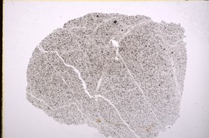 Plane Polarized, E19438