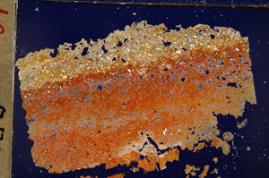 Cross Polarized, E19440