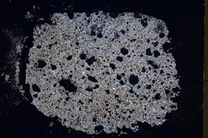 Cross Polarized, E19442