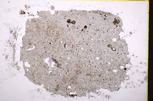 Plane Polarized, E19442