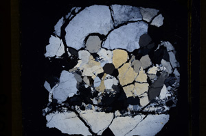 Cross Polarized, E19468