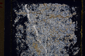Cross Polarized, E19471