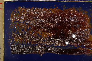 Cross Polarized, E19481