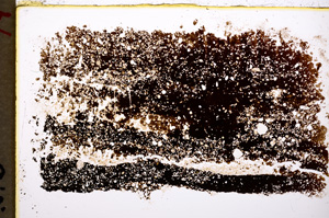 Plane Polarized, E19481