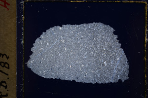 Cross Polarized, E19483