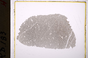 Plane Polarized, E19483