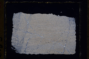 Cross Polarized, E19485