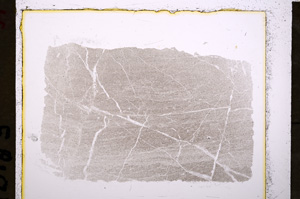 Plane Polarized, E19485