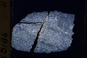 Cross Polarized, E19486