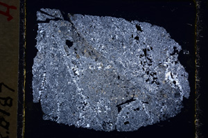 Cross Polarized, E19487