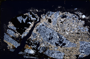 Cross Polarized, E19488