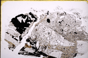 Plane Polarized, E19488