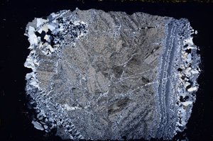 Cross Polarized, E19489