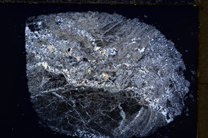 Cross Polarized, E19490