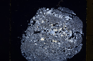 Cross Polarized, E19495