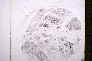 Plane Polarized, E19495