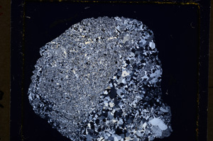 Cross Polarized, E19496