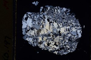 Cross Polarized, E19497