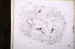 Plane Polarized, E19497