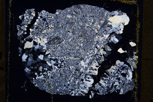 Cross Polarized, E19498