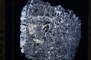 Cross Polarized, E19499