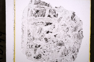 Plane Polarized, E19499