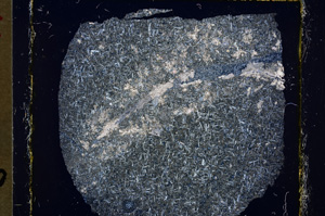 Cross Polarized, E19535