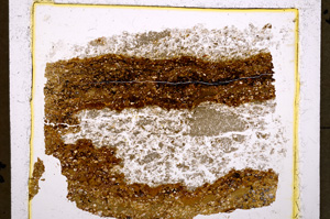 Plane Polarized, E19536